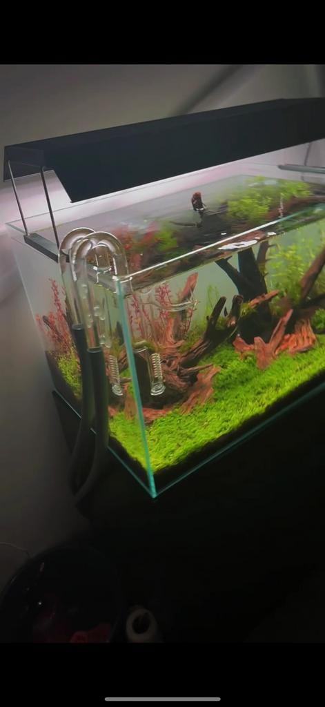 Superfish Scaper 90 high tech, Dieren en Toebehoren, Vissen | Aquaria en Toebehoren, Zo goed als nieuw, Filter of Co2, Ophalen