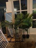 Kunst Palm bomen, Huis en Inrichting, Kamerplanten, Minder dan 100 cm, Palm, Ophalen of Verzenden, Halfschaduw