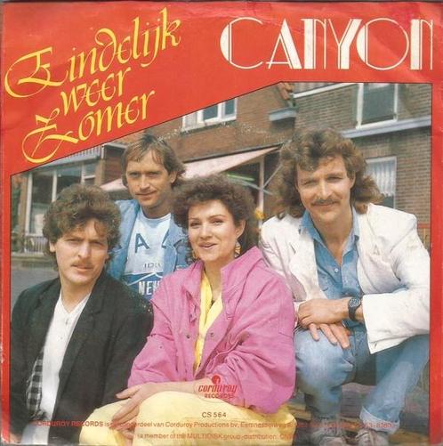 Vinylsingles gezocht o.a tjerrt / anja / guus /:benny rees /, Cd's en Dvd's, Vinyl | Nederlandstalig, Zo goed als nieuw, Ophalen of Verzenden