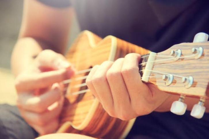 Ukelele-les Etten-Leur, Hobby en Vrije tijd, Overige Hobby en Vrije tijd, Ophalen of Verzenden