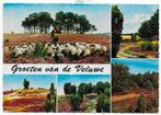 Veluwe Gelopen Ansichtkaart ( B5962 ), Ophalen of Verzenden, 1980 tot heden, Gelopen, Gelderland