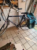 gazelle davos, Fietsen en Brommers, Fietsen | Tandems, Gebruikt, Ophalen of Verzenden, 61 cm of meer, 55 cm of meer