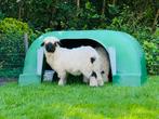 Veno schuilhok / iglo voor schapen met doorkruiphek., Ophalen, Gebruikt