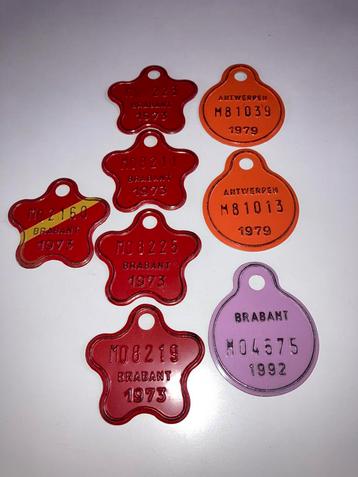 6 Oude Fietsplaatjes Brabant Antwerpen 1973 1979 1992 PPSTK! beschikbaar voor biedingen
