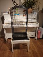 Vogelkooi, Ophalen, Zo goed als nieuw, Metaal, Vogelkooi
