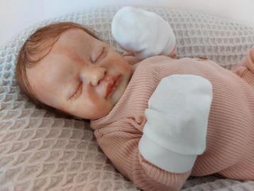 Reborn Americus  beschikbaar voor biedingen