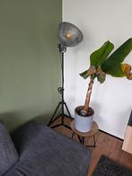Studiolamp, Huis en Inrichting, Lampen | Vloerlampen, Ophalen, Zo goed als nieuw, 150 tot 200 cm