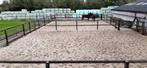 stalling en weidegang, Dieren en Toebehoren, Stalling en Weidegang, Weidegang, 2 of 3 paarden of pony's