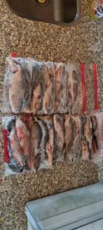 Aasvissen, Ruisvoorn, voorn, en wat mini brasem, Ophalen, Zo goed als nieuw, Overige typen