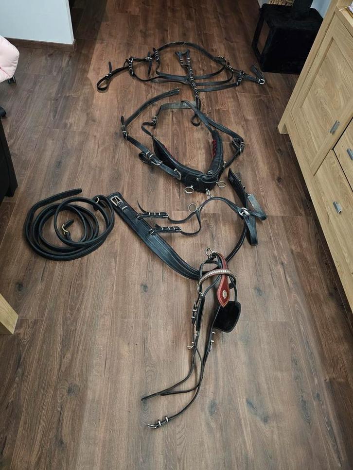 Friese paarden tuig / mentuig, Dieren en Toebehoren, Paarden en Pony's | Hoofdstellen en Tuigage, Zo goed als nieuw, Dressuur