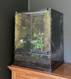Exo Terra terrarium, Dieren en Toebehoren, Ophalen, Gebruikt, Terrarium of Paludarium
