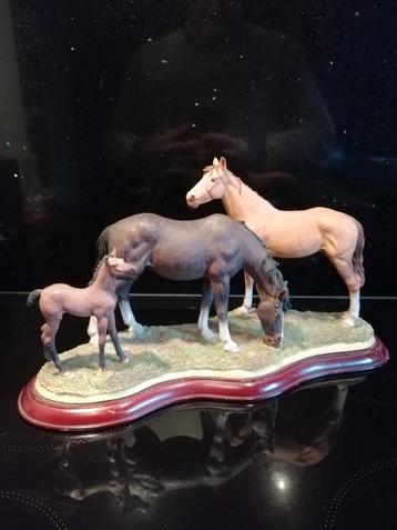 Paarden, horses