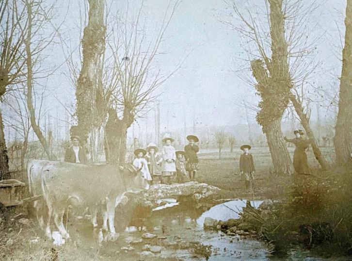 Oude foto 1903 gezelschap langs beekje., Verzamelen, Foto's en Prenten, Gebruikt, Foto, Natuur, Voor 1940, Ophalen of Verzenden