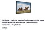 Mooie lijst met paarden onbeschadigd, Huis en Inrichting, Woonaccessoires | Schilderijen, Tekeningen en Foto's, Ophalen of Verzenden