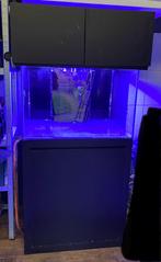 Alleen vandaag nog te koop! - Blue Marine Reef 200 zeewater, Dieren en Toebehoren, Ophalen, Zo goed als nieuw, Leeg aquarium