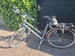 Batavus Damesfiets 28 inch - Gebruikt, Ophalen, Versnellingen, Batavus, 53 tot 56 cm