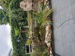 Complete vijver met koi, Tuin en Terras, Vijvers, Ophalen of Verzenden