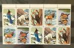 USA 1965 kerst National Wildlife Federation 10w pf, Postzegels en Munten, Verzenden, Postfris, Overige thema's
