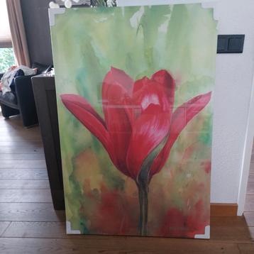 Schilderij Rode Tulp beschikbaar voor biedingen