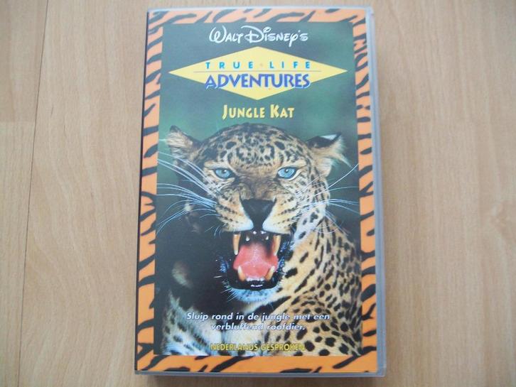 Videoband - Jungle Kat - natuurfilm - Walt Disney, Cd's en Dvd's, VHS | Kinderen en Jeugd, Zo goed als nieuw, Kinderprogramma's en -films