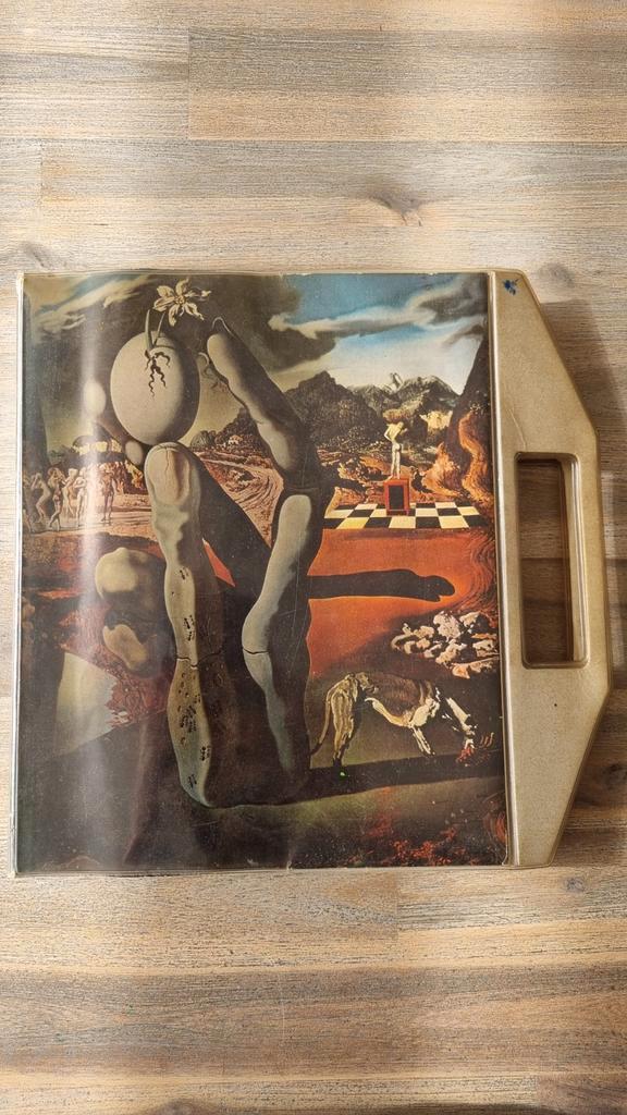 Dali - Museum Boymans van Beuningen 1970-1971, Boeken, Kunst en Cultuur | Beeldend, Ophalen of Verzenden