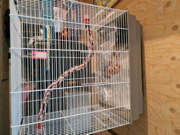 Vogelkooi compleet zoals op foto  beschikbaar voor biedingen