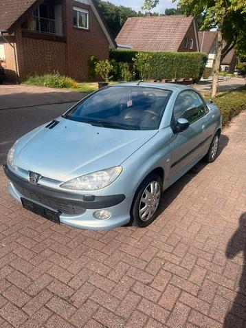 Cross auto peugeot 206 2.0 16V 136PK crossauto beschikbaar voor biedingen