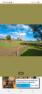 Stalling voor shetlanders, Dieren en Toebehoren, Stalling en Weidegang, Stalling