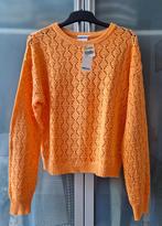 Bristol trui oranje ajour S nieuw, Kleding | Dames, Nieuw, Oranje, Ophalen of Verzenden, Maat 36 (S)