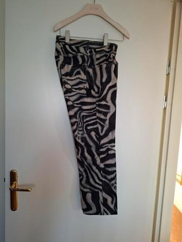 Marccain  broek 38/ 40  kleur zwart met camel print beschikbaar voor biedingen