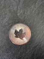 Maple Leaf Elizabeth 2020 - Zilveren munt, Ophalen of Verzenden, Zilver