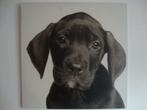 SCHILDERIJ CANVAS PUP HOND BULLDOG SCHILDERIJEN LABRADOR, 50 tot 75 cm, Nieuw, Ophalen of Verzenden, Schilderij