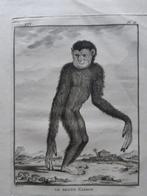 Vijf antieke prenten/kopergravures door Georges-Lois Leclerc, Ophalen of Verzenden