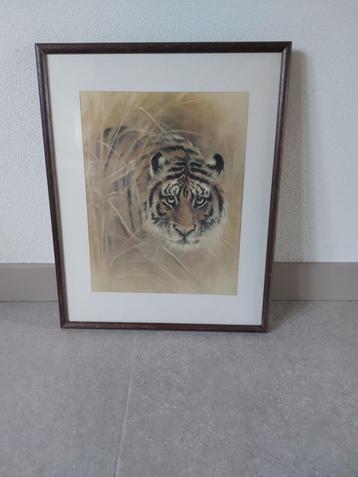 tijger schilderij beschikbaar voor biedingen