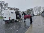 Opel Movano paardenwagen luxe zadelkamer leder water camera, Dieren en Toebehoren, Ophalen, Gebruikt, Overige materialen, Overige typen