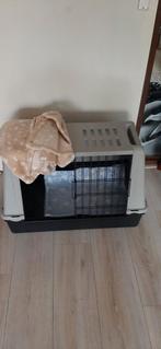 Diverse honden spullen te koop.1 koop 10 euro.Of los bieden, Ophalen, Zo goed als nieuw, 110 cm of meer