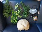 Diverse terrarium benodigdheden, Dieren en Toebehoren, Reptielen en Amfibieën | Toebehoren, Ophalen of Verzenden, Zo goed als nieuw