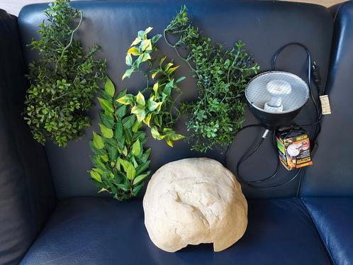 Diverse terrarium benodigdheden, Dieren en Toebehoren, Reptielen en Amfibieën | Toebehoren, Zo goed als nieuw, Overige typen, Ophalen of Verzenden