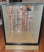 ZGAN glazen terrarium, Ophalen, Zo goed als nieuw, Terrarium of Paludarium