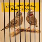 Koppel bandvinken, Dieren en Toebehoren, Vogels | Overige Vogels, Meerdere dieren, Tropenvogel
