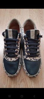 Leopard Shoes Rehab Sneakers, luipaard, 39, zwart, bruin, Ophalen of Verzenden, Zo goed als nieuw, Rehab, Sneakers of Gympen