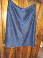 Blauwe rok, Kleding | Dames, Rokken, Maat 38/40 (M), Blauw, Ophalen of Verzenden, Gedragen