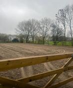 Stal beschikbaar vlakbij Almere, Dieren en Toebehoren, Stalling en Weidegang, Weidegang