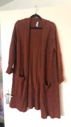 Miss etam. Bruin vest xl. Kom vrijblijvend kijken, Kleding | Dames, Ophalen of Verzenden, Zo goed als nieuw, Bruin, Jas of Mantel