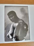Champ: Muhammad Ali  Thomas Heopker | originele magnum foto, Ophalen of Verzenden