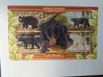 164 Motief, Dier, Dieren, Beer, Beren, Ophalen of Verzenden, Dier of Natuur