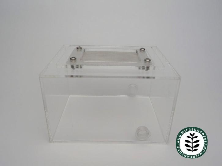 ARENA | MIEREN KOLONIE HOUDEN TERRARIUM INSECTEN, Dieren en Toebehoren, Insecten en Spinnen, Overige soorten