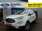 Ford EcoSport 1.0 125PK Titanium | Trekhaak | ISOFIX | Navig, Gebruikt, Ecosport, Leder en Stof, Wit