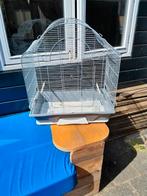Vogelkooi, Dieren en Toebehoren, Vogels | Overige Vogels, Wildzangvogel