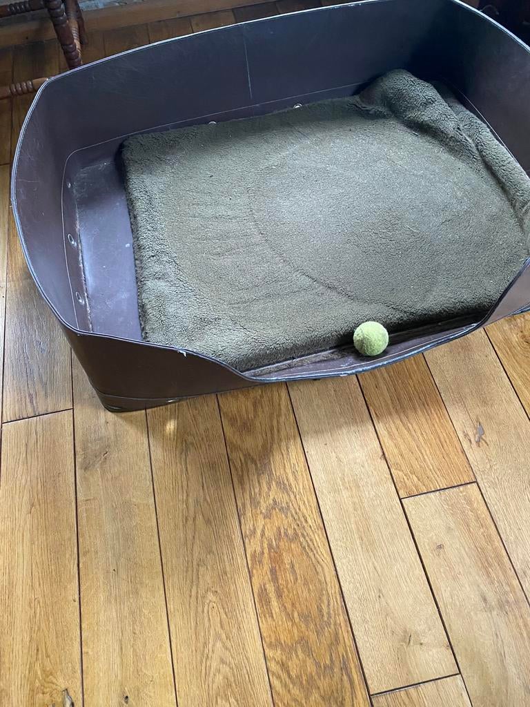 Aangeboden, Grote hondenmand, Dieren en Toebehoren, Hondenmanden, Ophalen, Zo goed als nieuw, Overige